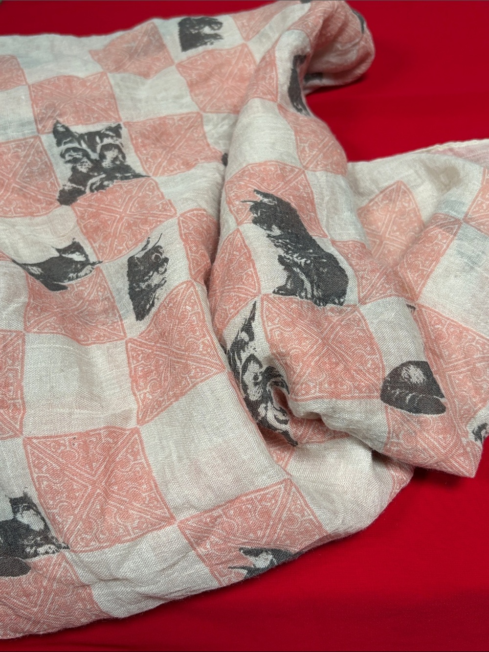 Cotton cat infinity scarf!!
